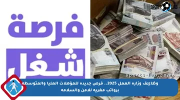 وظائف وزارة العمل 2025.. فرص جديدة للمؤهلات العليا والمتوسطة برواتب مغرية للأمن والسلامة